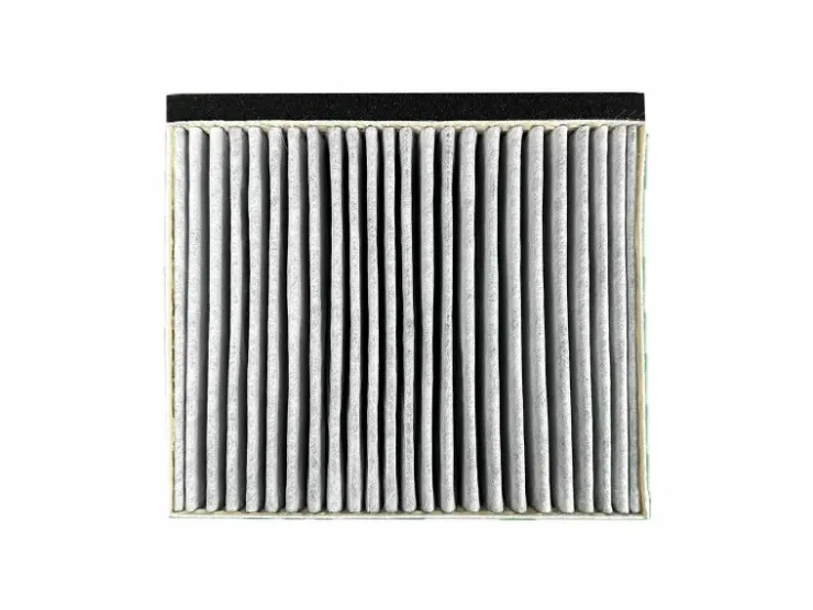 AIR2GO Aktivkohlefilter für Bosch 17006795 / DWZ0DX0A0