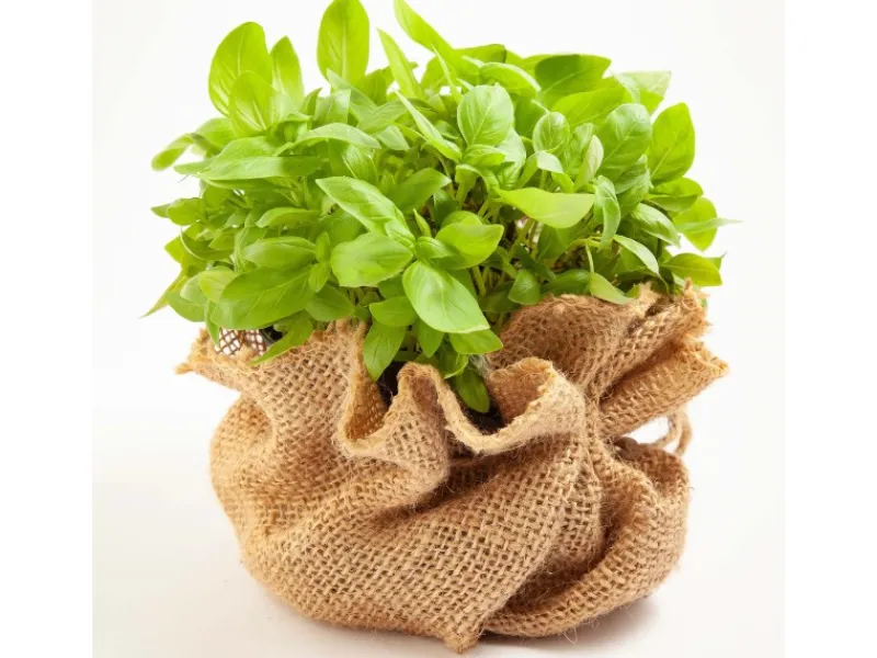 Online 10m x 1m Jutegewebe 105g/m² Jutematte Gartenjute Jute Stoff Sackleinen Juteband Töpfe