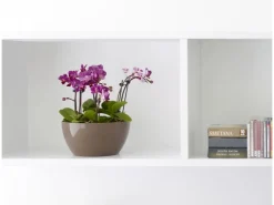 Best Artevasi Schale San Remo Ø 32 cm Weiß