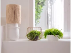 Best Artevasi Schale San Remo Ø 32 cm Weiß