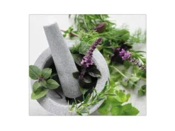 Banjado Herdabdeckungen|Schneidebretter<Herdabdeckplatte Glas 1 Teilig 60x52CM Schneidebrett Herdabdeckung Mit Motiv Kräuter