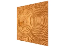 Banjado Herdabdeckplatte Glas 1 Teilig 60x52CM Schneidebrett Herdabdeckung Mit Motiv Baumstamm