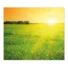 Sale Herdabdeckplatte Glas 1 Teilig 60x52CM Schneidebrett Herdabdeckung Mit Motiv Guten Morgen 2 Herde|Kochfelder