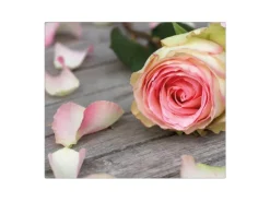 Banjado Herde|Kochfelder<Herdabdeckplatte Glas 1 Teilig 60x52CM Schneidebrett Herdabdeckung Mit Motiv Rosa Rose