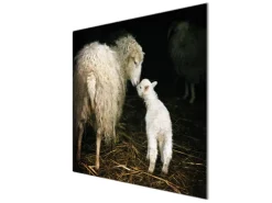 Sale Herdabdeckplatte Glas 1 Teilig 60x52CM Schneidebrett Herdabdeckung Mit Motiv Full Service Herde|Kochfelder
