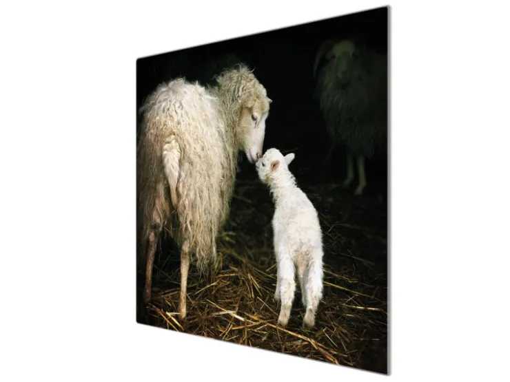Sale Herdabdeckplatte Glas 1 Teilig 60x52CM Schneidebrett Herdabdeckung Mit Motiv Full Service Herde|Kochfelder