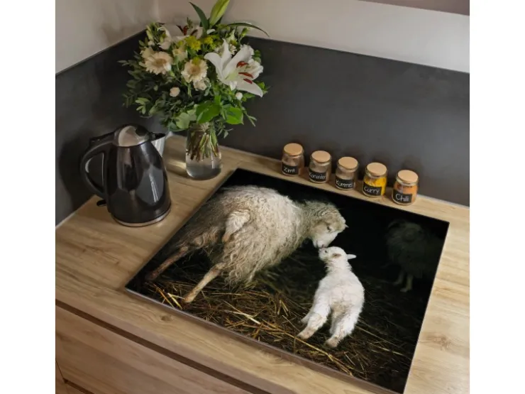 Sale Herdabdeckplatte Glas 1 Teilig 60x52CM Schneidebrett Herdabdeckung Mit Motiv Full Service Herde|Kochfelder