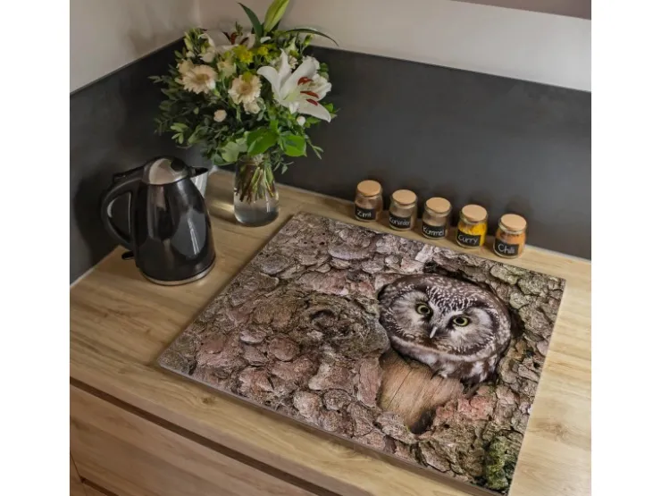 Banjado Herde|Kochfelder<Herdabdeckplatte Glas 1 Teilig 60x52CM Schneidebrett Herdabdeckung Mit Motiv Eule