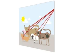 Online Herdabdeckplatte Glas 1 Teilig 60x52CM Schneidebrett Herdabdeckung Mit Motiv Maiskolben Herde|Kochfelder