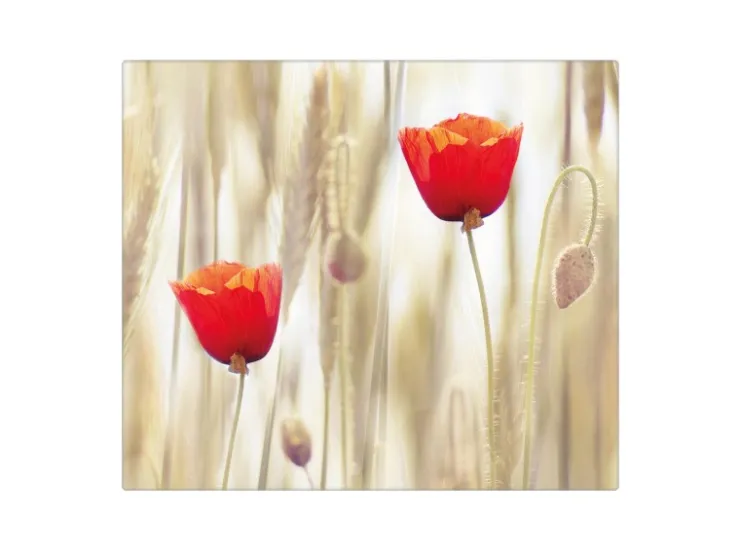 Banjado Herdabdeckplatte Glas 1 Teilig 60x52CM Schneidebrett Herdabdeckung Mit Motiv Erdkugel