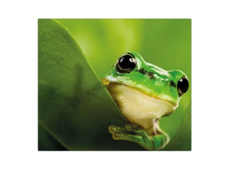 Outlet Banjado Herdabdeckplatte Glas 1 Teilig 60x52CM Schneidebrett Herdabdeckung Mit Motiv Frosch