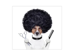 Best Banjado Herdabdeckplatte Glas 1 Teilig 60x52CM Schneidebrett Herdabdeckung Mit Motiv Friseur Jack Russel