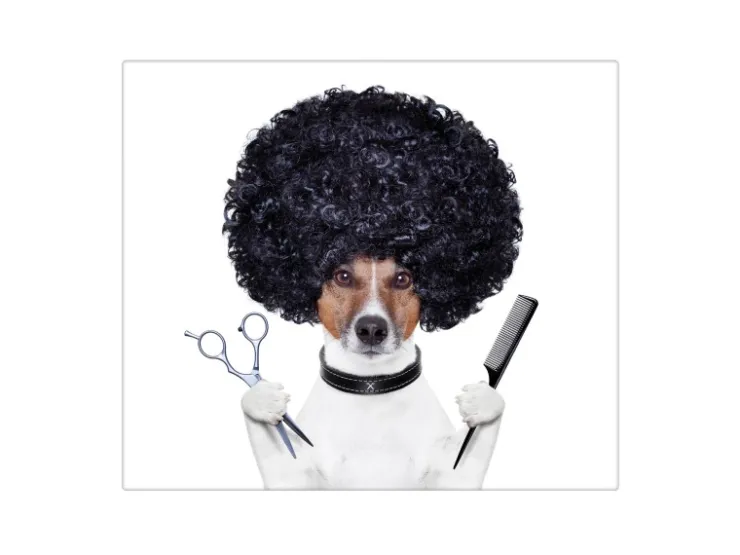 Best Banjado Herdabdeckplatte Glas 1 Teilig 60x52CM Schneidebrett Herdabdeckung Mit Motiv Friseur Jack Russel