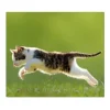Banjado Herdabdeckungen|Kochfelder<Herdabdeckplatte Glas 1 Teilig 60x52CM Schneidebrett Herdabdeckung Mit Motiv Jagende Katze