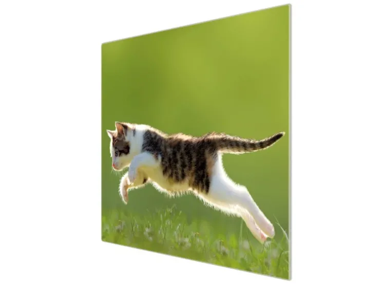 Banjado Herdabdeckungen|Kochfelder<Herdabdeckplatte Glas 1 Teilig 60x52CM Schneidebrett Herdabdeckung Mit Motiv Jagende Katze