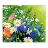 Banjado Schneidebretter|Herdabdeckungen<Herdabdeckplatte Glas 2 Teilig Je 30x52CM Schneidebrett Herdabdeckung Mit Motiv Blumenstrauß
