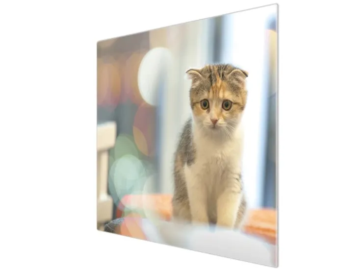 Outlet Banjado Herdabdeckplatte Glas 1 Teilig 60x52CM Schneidebrett Herdabdeckung Mit Motiv Herz Aus Moos