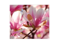 Banjado Schneidebretter|Herdabdeckungen<Herdabdeckplatte Glas 1 Teilig 60x52CM Schneidebrett Herdabdeckung Mit Motiv Magnolia