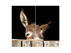 Outlet Banjado Herdabdeckplatte Glas 2 Teilig Je 30x52CM Schneidebrett Herdabdeckung Mit Motiv Fuchs Relax