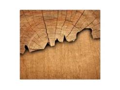Outlet Banjado Herdabdeckplatte Glas 2 Teilig Je 30x52CM Schneidebrett Herdabdeckung Mit Motiv Frosch