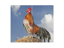 Outlet Herdabdeckplatte Glas 2 Teilig Je 30x52CM Schneidebrett Herdabdeckung Mit Motiv Sitzendes Erdmännchen Schneidebretter|Herdabdeckungen