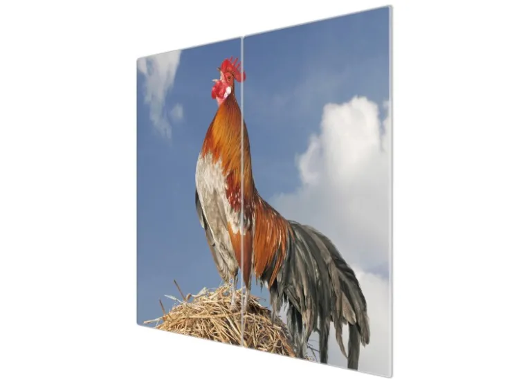 Outlet Herdabdeckplatte Glas 2 Teilig Je 30x52CM Schneidebrett Herdabdeckung Mit Motiv Sitzendes Erdmännchen Schneidebretter|Herdabdeckungen