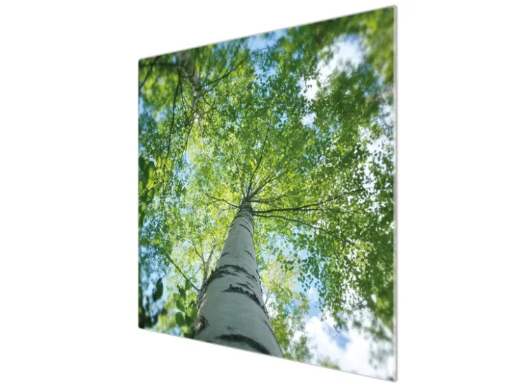 Banjado Schneidebretter|Herdabdeckungen<Herdabdeckplatte Glas 1 Teilig 60x52CM Schneidebrett Herdabdeckung Mit Motiv Zwischen Bäumen 5