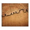 Banjado Schneidebretter|Herdabdeckungen<Herdabdeckplatte Glas 1 Teilig 60x52CM Schneidebrett Herdabdeckung Mit Motiv Holz