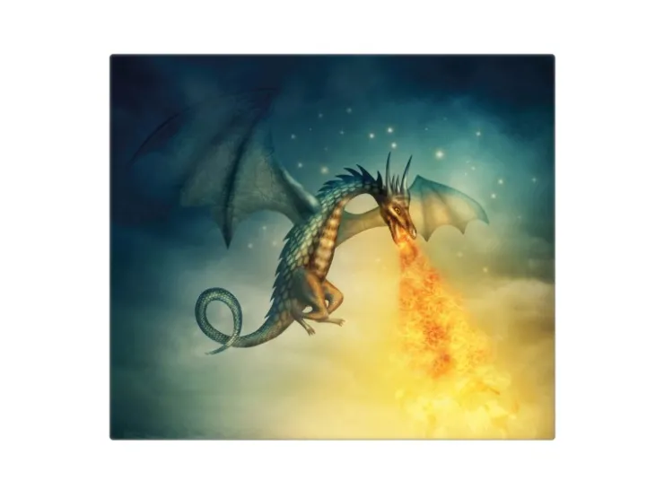 Sale Banjado Herdabdeckplatte Glas 1 Teilig 60x52CM Schneidebrett Herdabdeckung Mit Motiv Orange