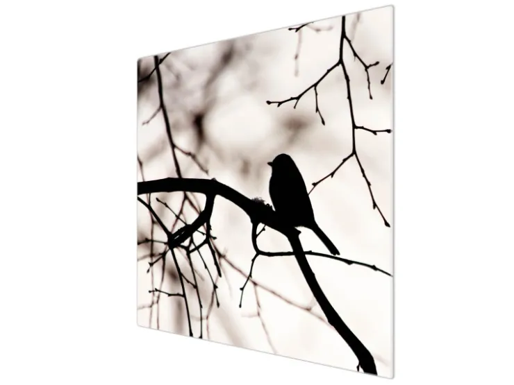 Banjado Schneidebretter|Herdabdeckungen<Herdabdeckplatte Glas 1 Teilig 60x52CM Schneidebrett Herdabdeckung Mit Motiv Früher Vogel