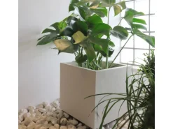 Deroma Töpfe<Pflanzkübel Cubo Millennium 39 cm x 39 cm x 39 cm Perlweiß