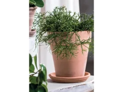 Sale Deroma Pflanztopf Alto Duo Ø 22 cm x 25 cm White gestreift Weiß