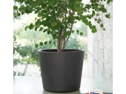 Deroma Töpfe<Pflanztopf Millennium mir Rollen Ø 59 cm Anthrazit
