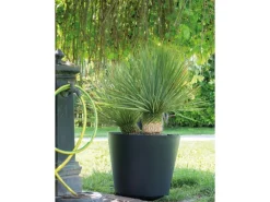 Online Pflanztopf Origin Plant Pot 78 cm Töpfe