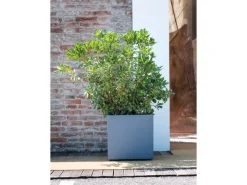 New Pflanztopf Quadro Millenium 49 cm x 49 cm x 49 cm Töpfe