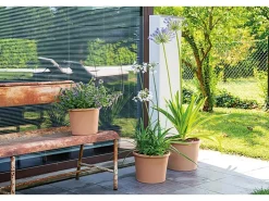 Deroma Töpfe<Pflanztopf Zylinder Bordato 38 cm Weiß White
