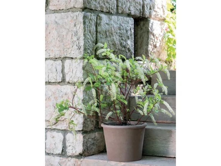 Best Deroma Pflanztopf Zylinder Primitivo Ø 28 cm Graphit