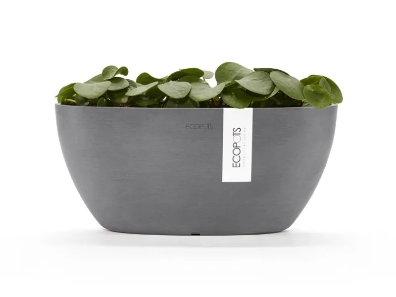 Best Pflanzschale Sofia 30 cm x 13 cm Oval Grau Töpfe