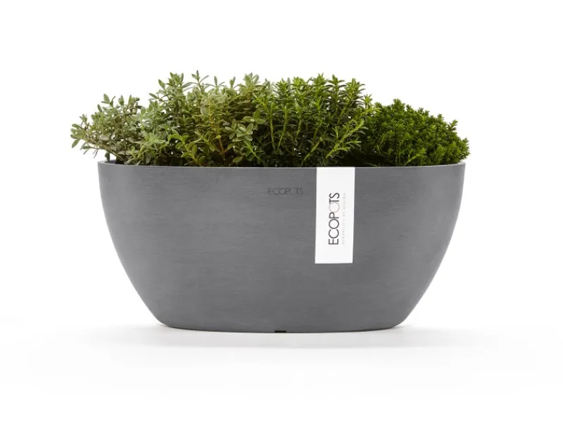 Best Pflanzschale Sofia 30 cm x 13 cm Oval Grau Töpfe