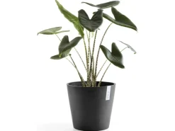 Pflanztopf Amsterdam Ø 40 cm / Höhe 35 cm Töpfe