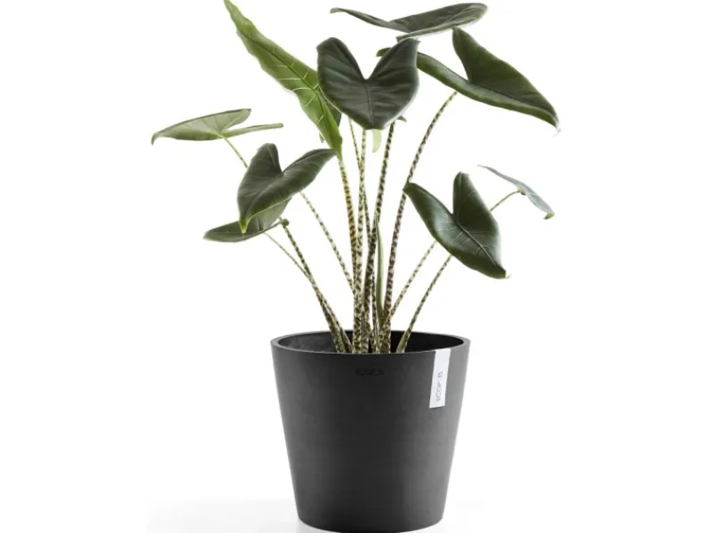Pflanztopf Amsterdam Ø 40 cm / Höhe 35 cm Töpfe