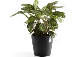 Pflanztopf Amsterdam Ø 40 cm / Höhe 35 cm Töpfe