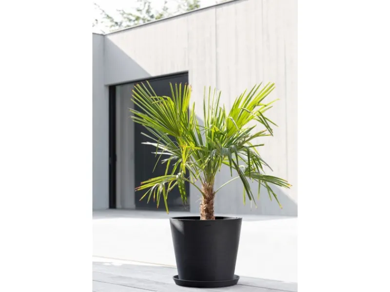 Pflanztopf Amsterdam Ø 40 cm / Höhe 35 cm Töpfe