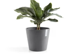New Pflanztopf Amsterdam Ø 30 cm x 26 cm Grau Töpfe