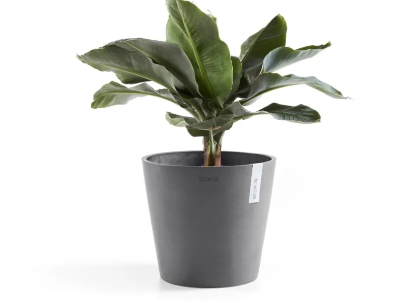 New Pflanztopf Amsterdam Ø 30 cm x 26 cm Grau Töpfe