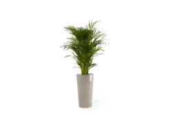 Ecopots Töpfe<Pflanztopf Amsterdam Extrahoch 50 cm x 90 cm Taupe