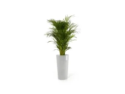 Clearance Ecopots Pflanztopf Amsterdam Halbhoch 34 cm x 66 cm Weißgrau