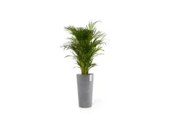 Clearance Ecopots Pflanztopf Amsterdam Hoch 41 cm x 76 cm Grau