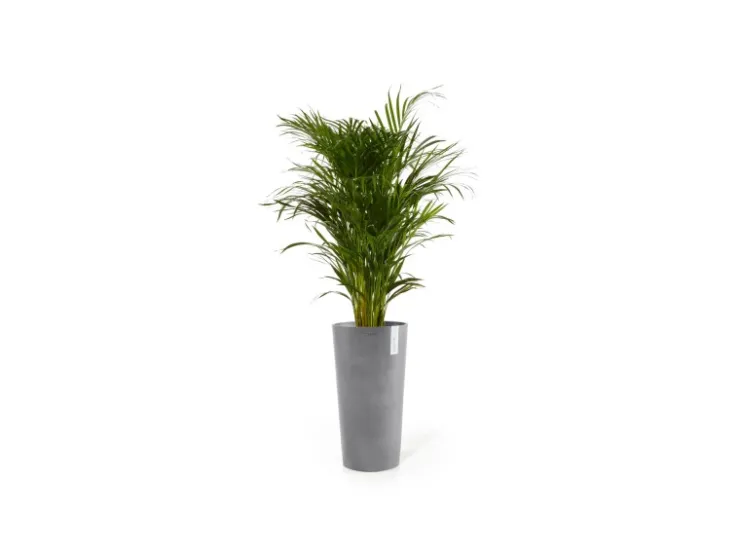 Clearance Ecopots Pflanztopf Amsterdam Hoch 41 cm x 76 cm Grau