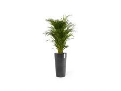 Online Ecopots Pflanztopf Amsterdam Halbhoch 34 cm x 66 cm Dunkelgrau